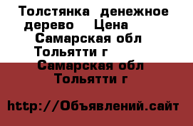 Толстянка (денежное дерево) › Цена ­ 50 - Самарская обл., Тольятти г.  »    . Самарская обл.,Тольятти г.